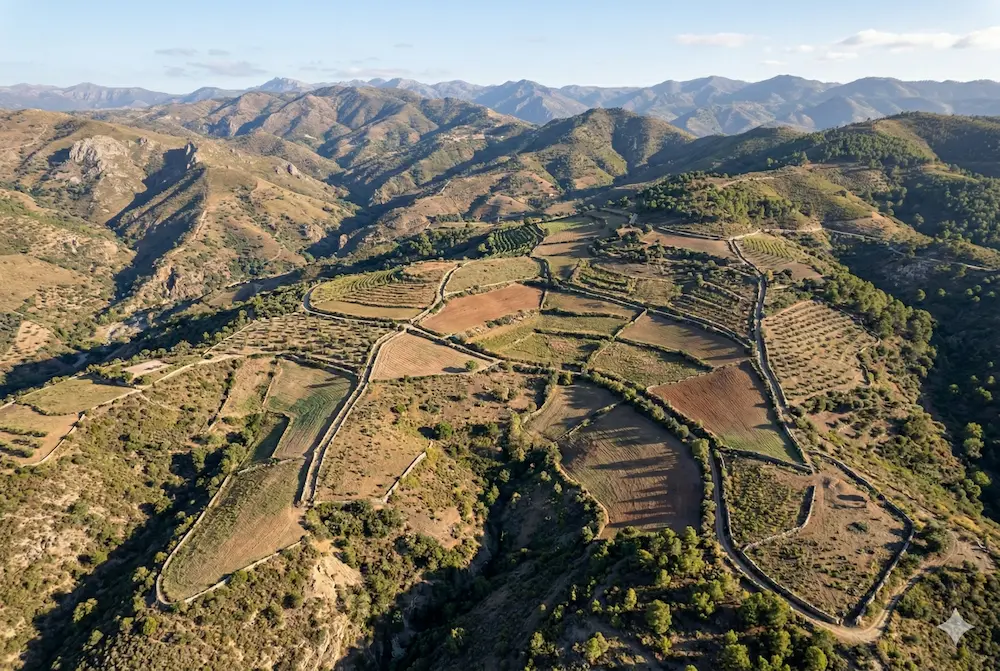 Segregación y Agrupación de Parcelas - Rural Life